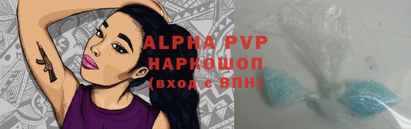 индика Аркадак