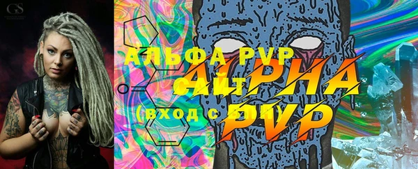 индика Аркадак
