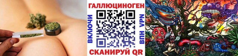 как найти закладки  Юрьевец  Галлюциногенные грибы Cubensis 
