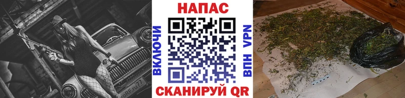 Конопля гибрид  mega ТОР  Юрьевец 